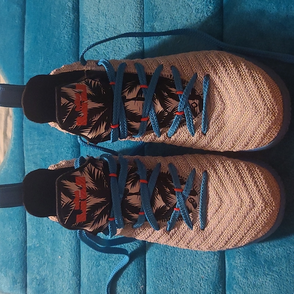 Lebron James Basket Ball shoes